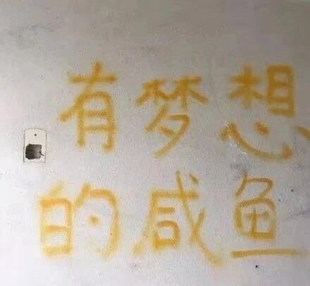 有梦想的咸鱼