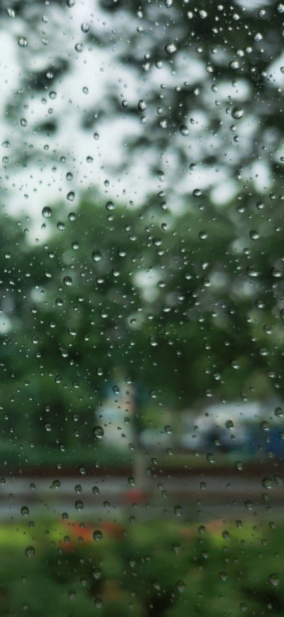 夏天的雨