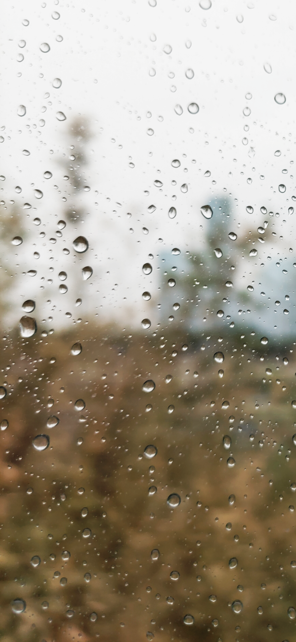 夏天的雨