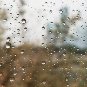 夏天的雨照片图片