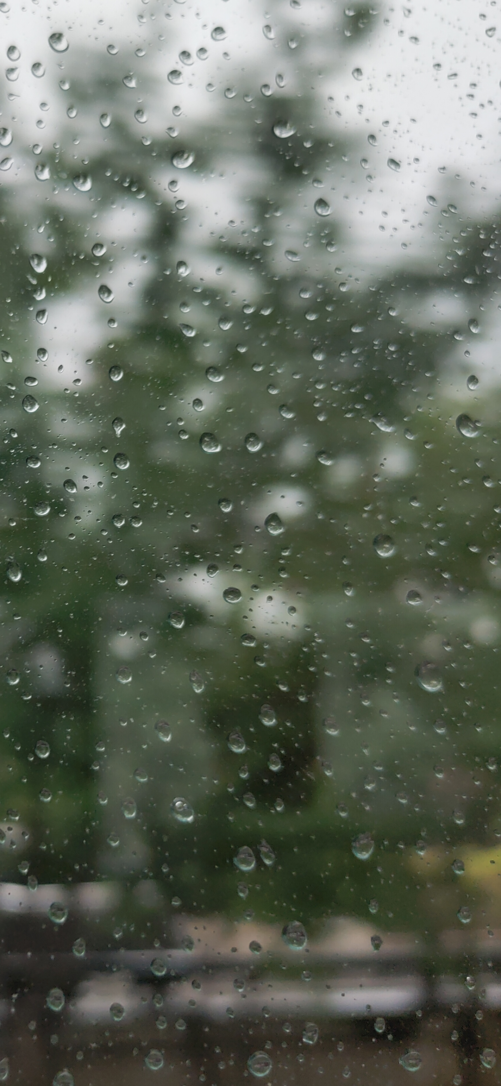 夏天的雨