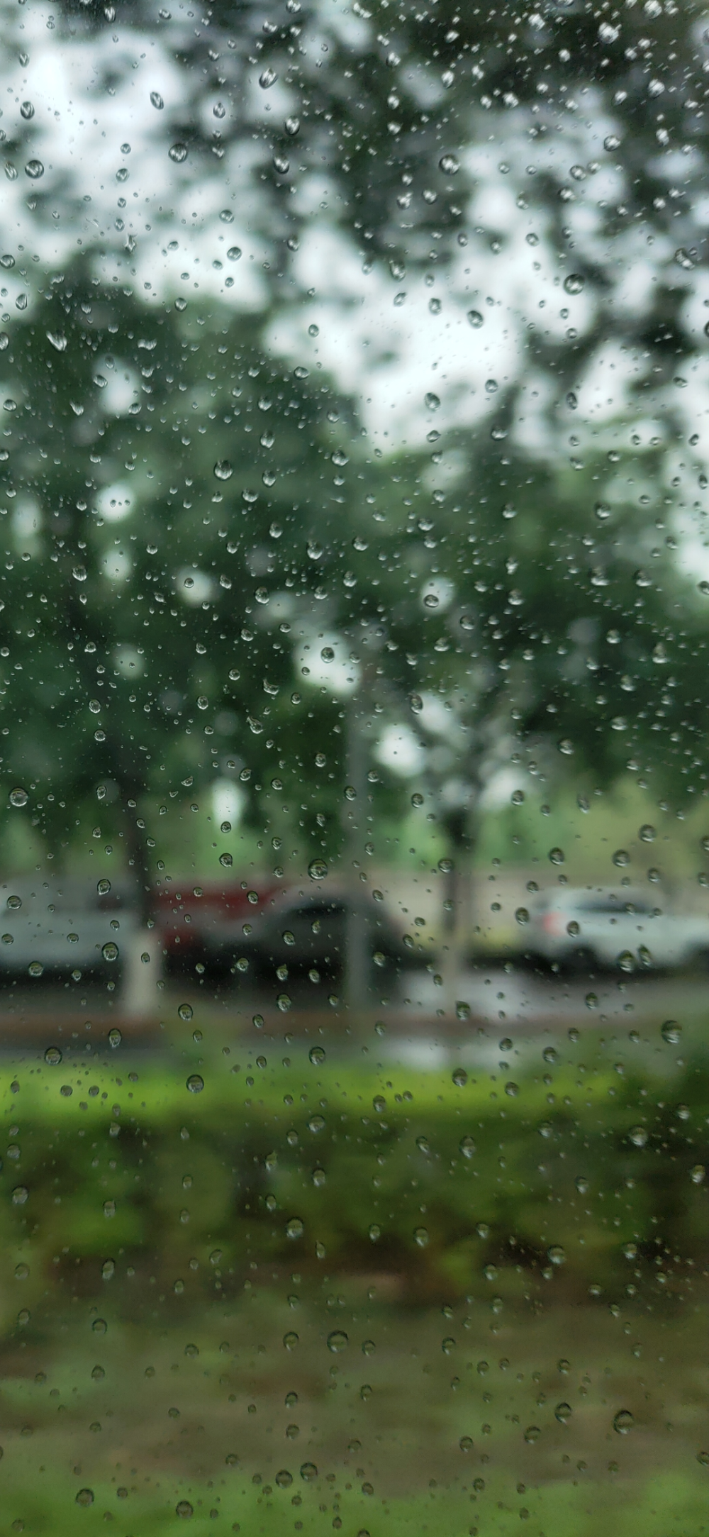 夏天的雨