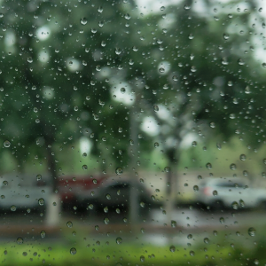 夏天的雨照片图片