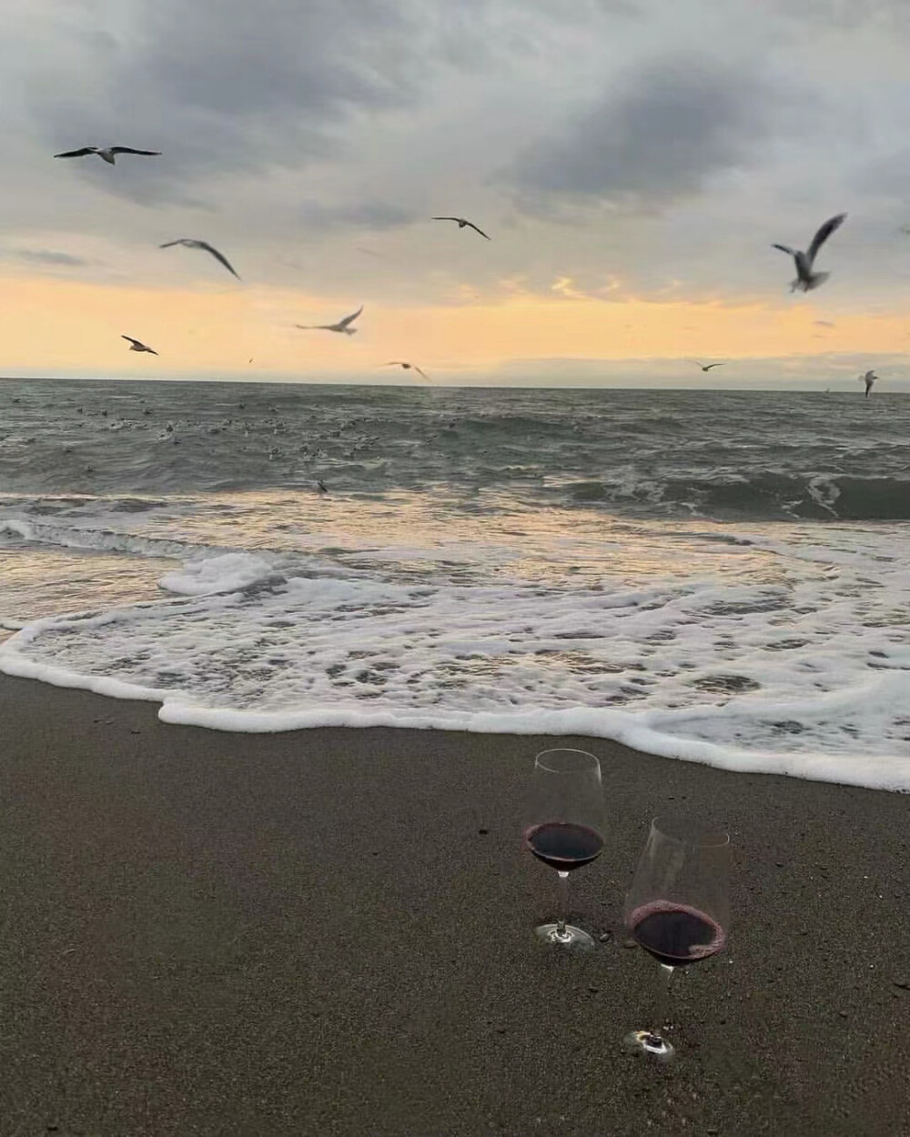 海鸥与海