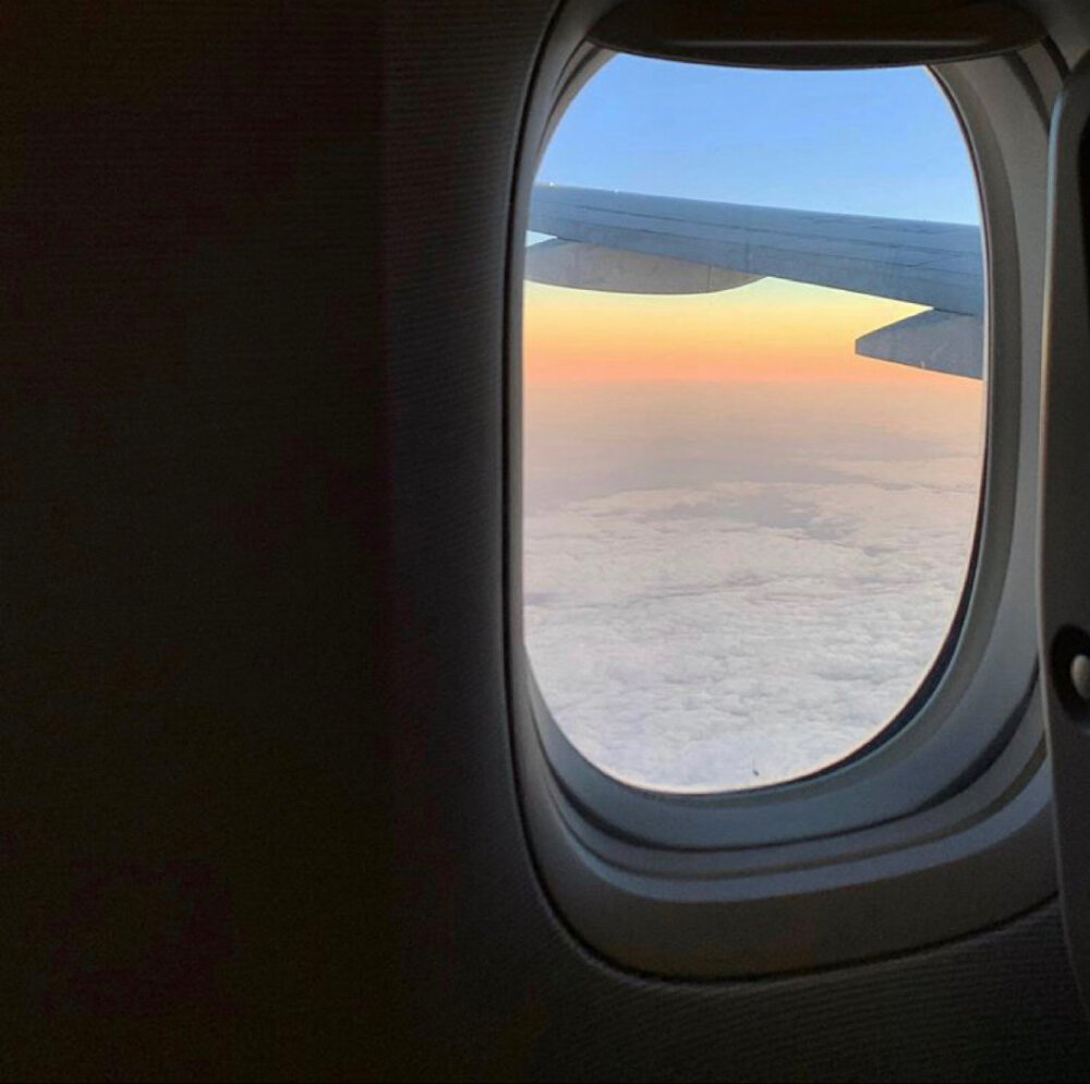 你是我粉色白日梦里 洒满星星的森林 ​​​