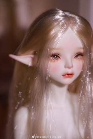 bjd