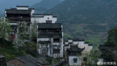 江南雨