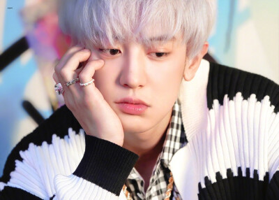 EXO 朴灿烈//♞