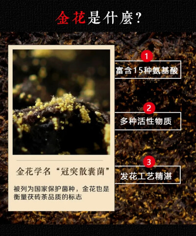 泾阳茯茶与十四运吉祥物