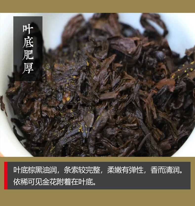 泾阳茯茶与十四运吉祥物