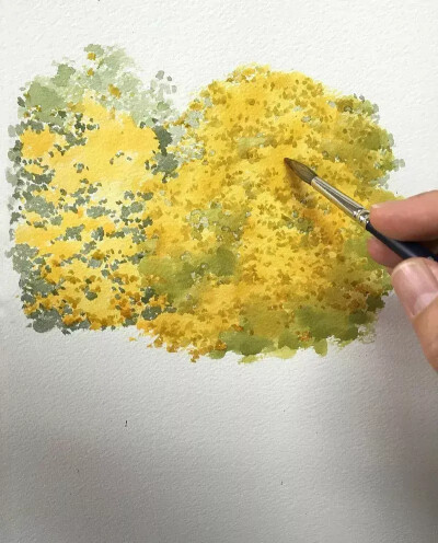 书的画法