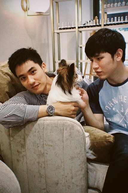 Taynew 林阳郑明心