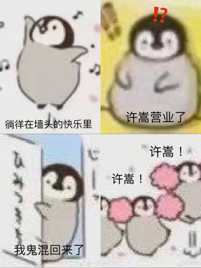 许嵩