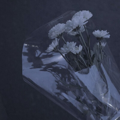 背景图\祝我们好在六月.