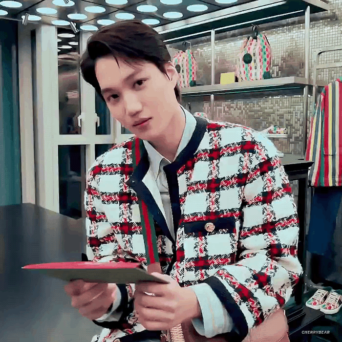 EXO 金钟仁 KAI / 动图
©logo