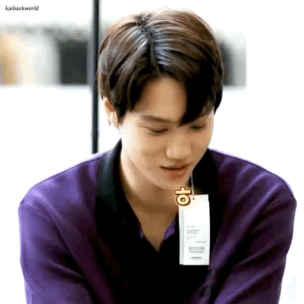 EXO 金钟仁 KAI / 动图
©logo