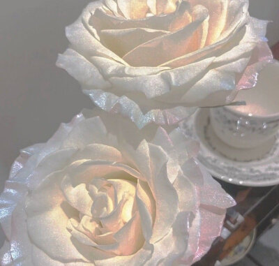 流光溢彩 玫瑰花 极美 背景图 壁纸 wb收集