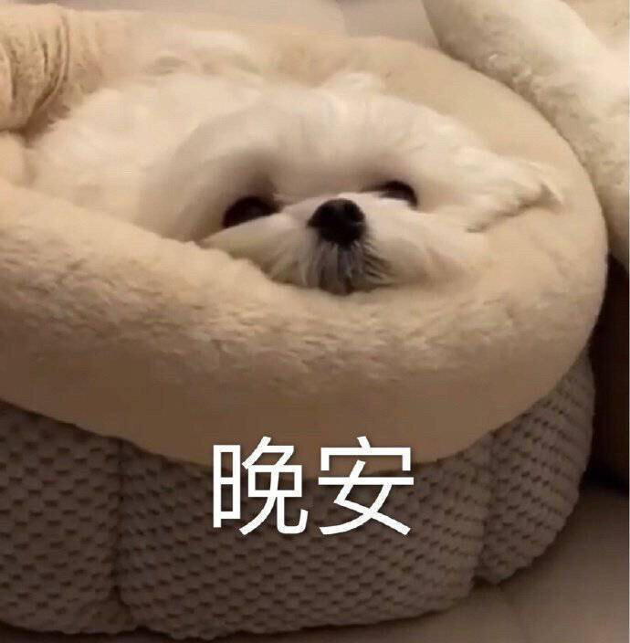 可可爱爱