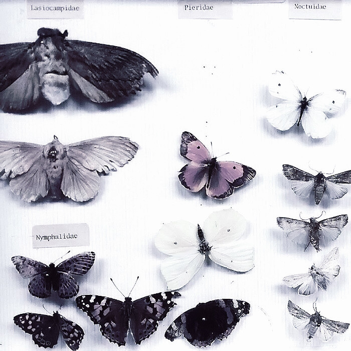 希望这个夏天有偏爱 有感动 有人陪我吹晚风
赵美延