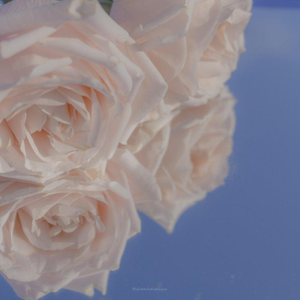 静谧·美好碎片