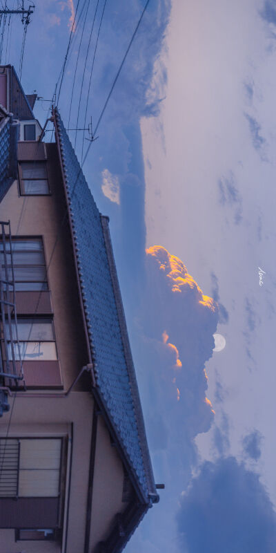 风景丨声音死在风中 情绪飘进海里.