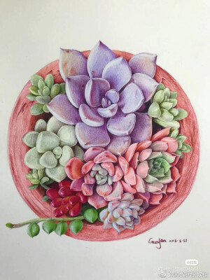 花卉