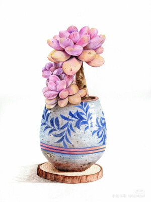 花卉