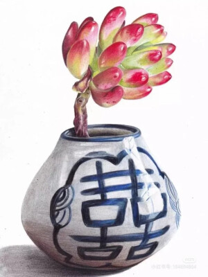 彩铅，花卉