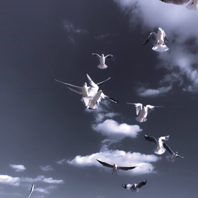 
（崔乂园）你说渐渐把爱放下会走更远