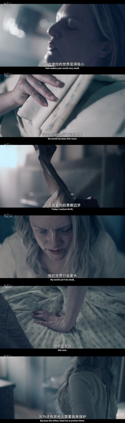 The Handmaid’s Tale Season 4
使女的故事 第四季