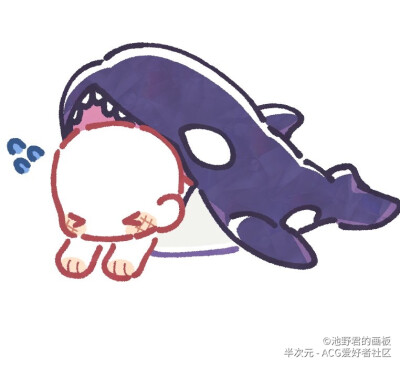 半次元模板