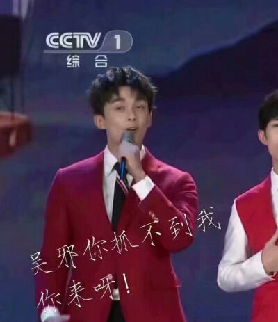 19年春晚关于盗笔影视剧的无聊小笑话。图源微博（或许有的是从空间存的我也记不清了）