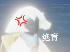 白鸟/平茹/雨妈/龙骨表情包