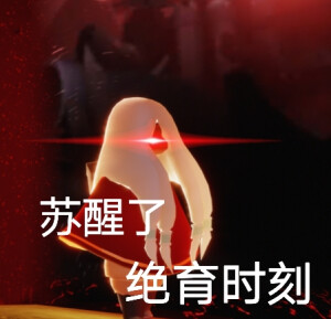 白鸟/平茹/雨妈/龙骨表情包