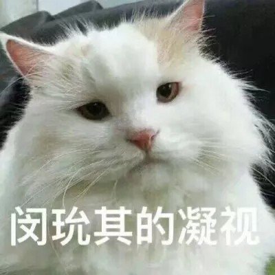 抱抱抱来的！嘻嘻！