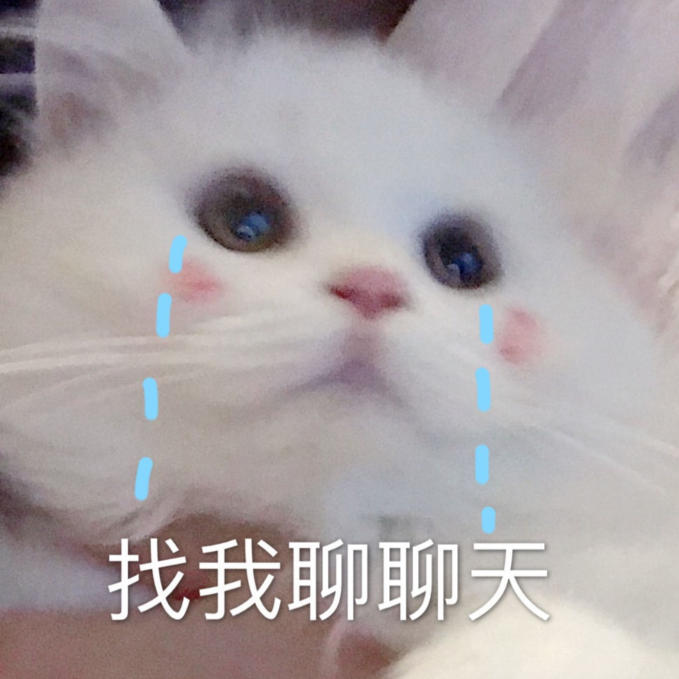 猫猫表情包