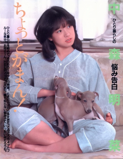 中森明菜