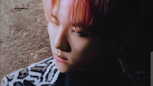 抱图请收藏点赞