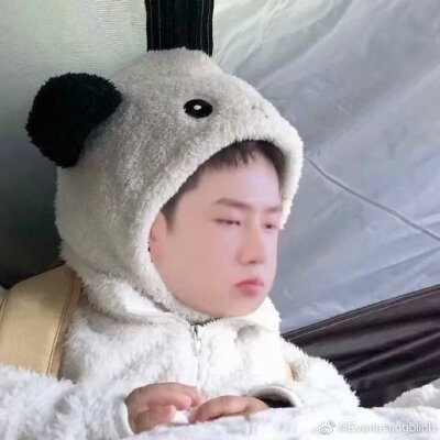 博肖头像 博君一肖情头