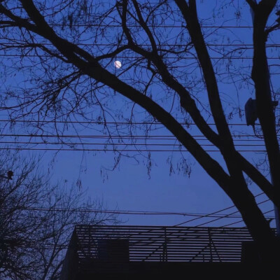 清冷.