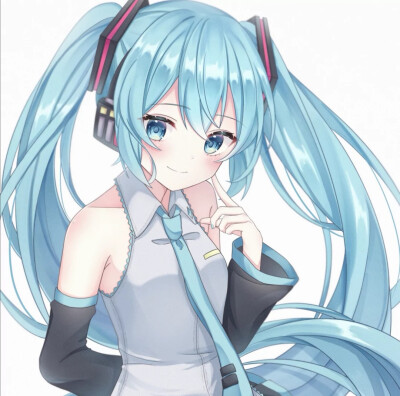 初音未来
闪闪发亮的公主(＞＜)