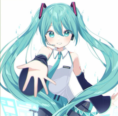 初音未来
闪闪发亮的公主(＞＜)