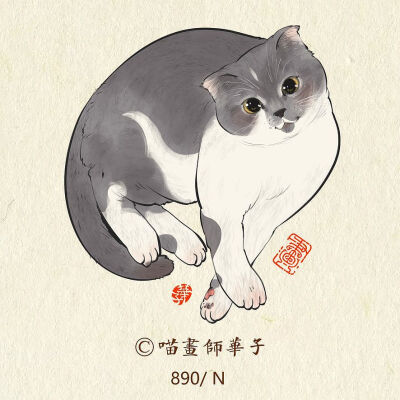 猫咪 插画 作者详见水印