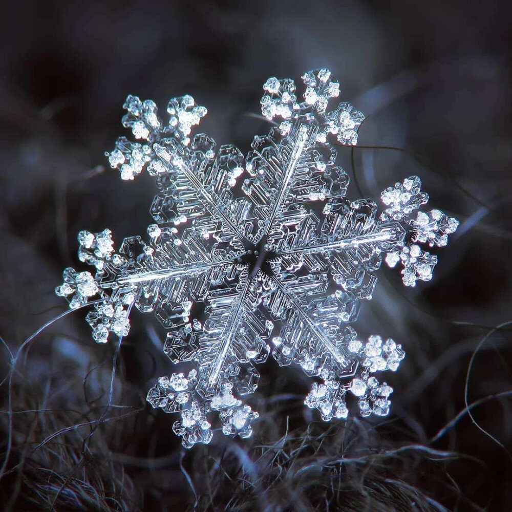 雪花