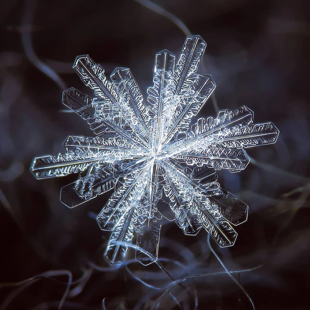 雪花