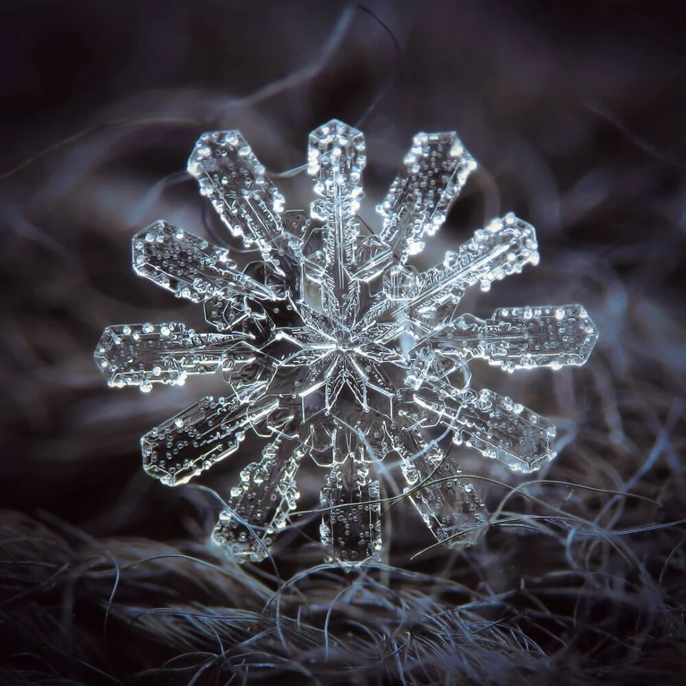 雪花