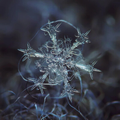 雪花