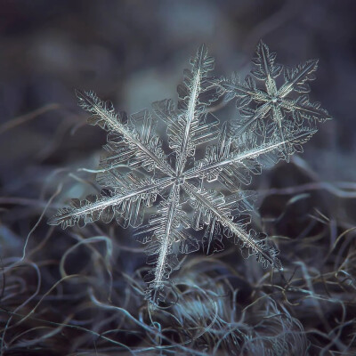 雪花