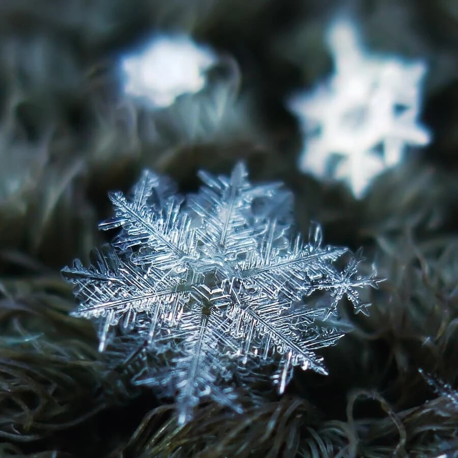 雪花