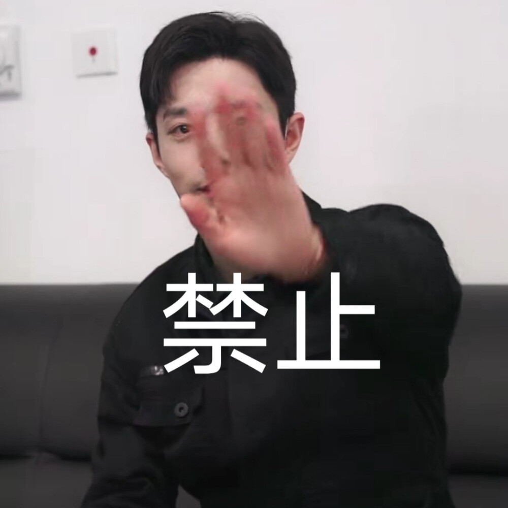 肖战表情包